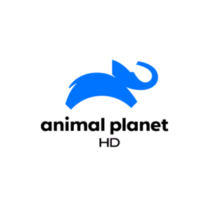 453-animal-planet-hd.png